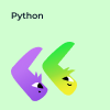 Python (12-17 лет)