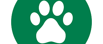 Служебный кинолог