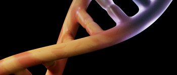 Основы генетики