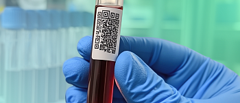 Формула крови: практический курс для врачей