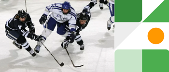 Тренер-преподаватель по избранному виду спорта (хоккей)