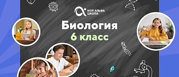Онлайн-занятия с репетитором по биологии. 6 класс