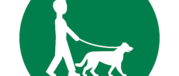 Путь к идеальной собаке