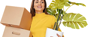 Дизайнер интерьеров