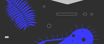 Эволюция жизни на Земле