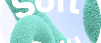 Soft Skills: как мягко добиваться карьерных целей