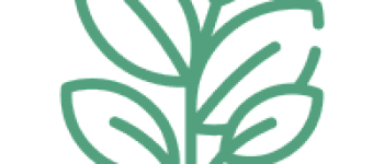 Виноградарство и виноделие