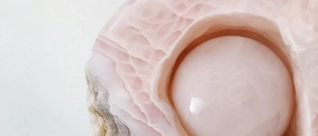 Введение в бизнес-аналитику