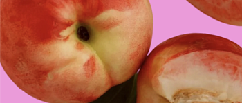 Введение в Health-коучинг