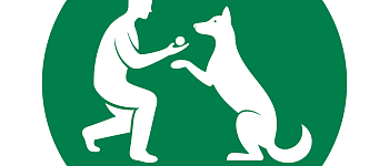 Основы дрессировки собак