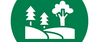 Лесное дело