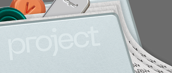 Project Manager в IT